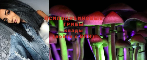 ПСИЛОЦИБИНОВЫЕ ГРИБЫ Алексеевка
