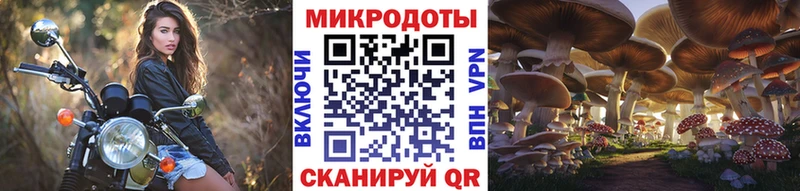 Галлюциногенные грибы Psilocybe  Починок 