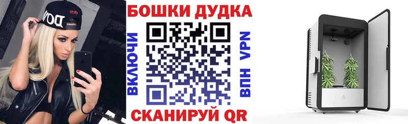Канабис гибрид  Починок 